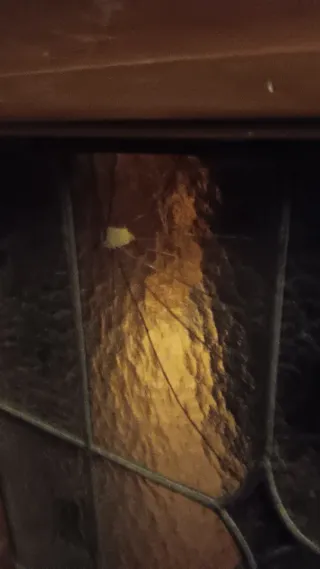 Puertas de madera con vidrieras emplomadas