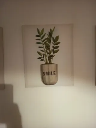 Set 3 Cuadros Botánicos