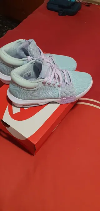 Zapatillas Nike Air Max Azules y Moradas