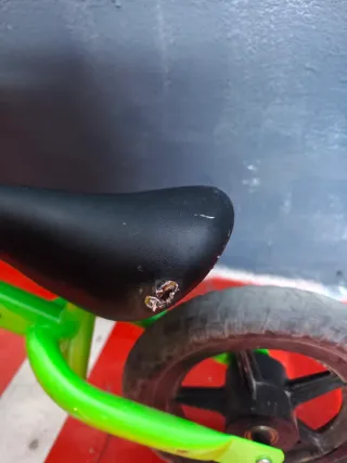 Bicicleta de equilibrio verde