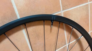 Rueda DT Swiss Gravel LN