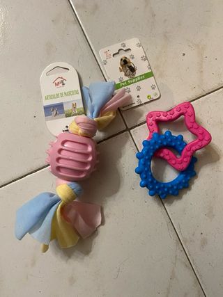 Set per animali domestici - pettorina e giocattoli