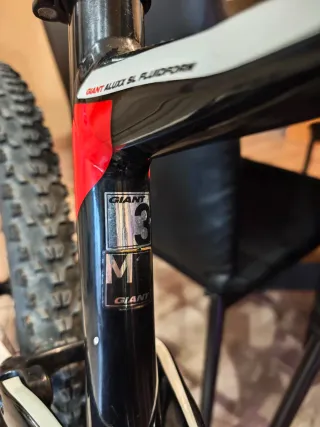 Bicicleta Giant Anthem