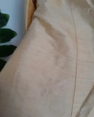 Blazer cuello mao dorado