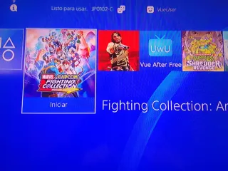 PS4 (PlayStation 4) Camuflaje