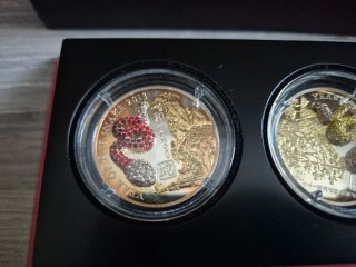 Pack Monedas Plata Año Serpiente 2013