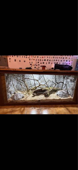 Terrario para reptiles (iguana, serpiente...