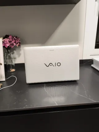 Portátil Sony VAIO Blanco