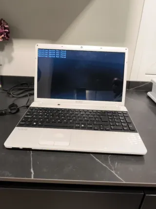 Portátil Sony VAIO Blanco