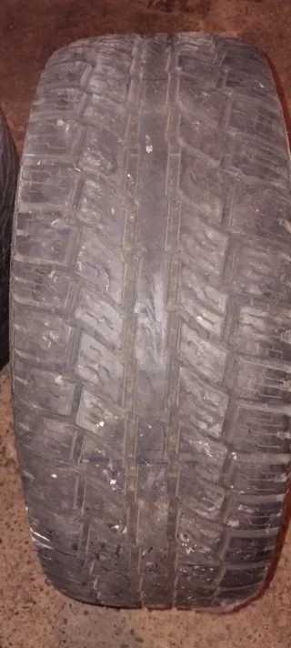 Neumático Discoverer