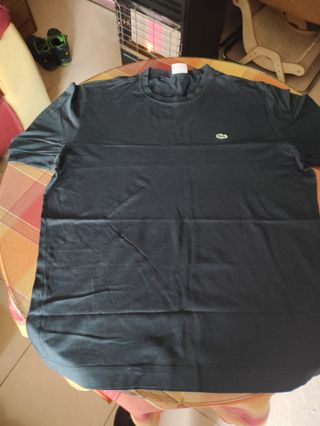 Lote Ropa XL Bañadores camisetas Hombre