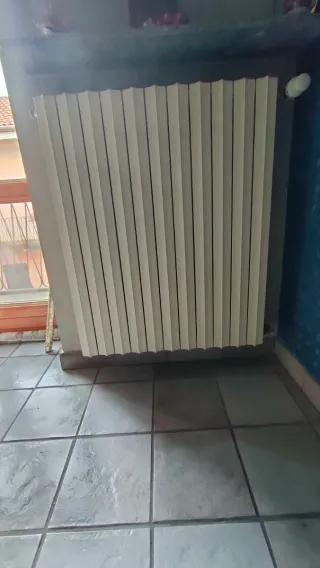 Termosifoni bianchi in ghisa