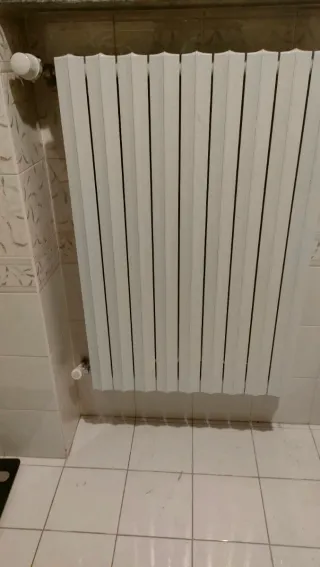 Termosifoni bianchi in ghisa