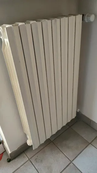 Termosifoni bianchi in ghisa