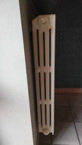 Termosifoni bianchi in ghisa