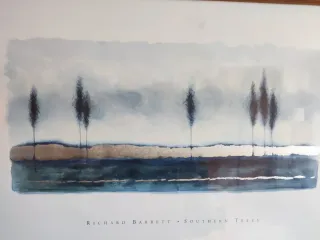 Lamina Richard Barrett Southern Trees