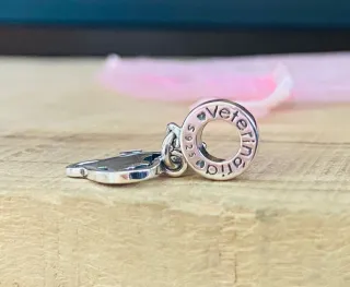 Charm Colgante | Corazón Perros Estetoscopio