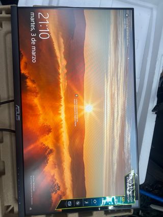 Monitor Asus 24 Negro