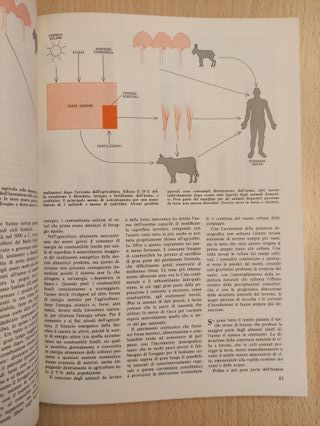 Le Scienze: PROBLEMI DI SOCIOLOGIA E DI DEMOGRAFIA