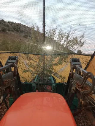 Recolector almendra/pistacho/oliva