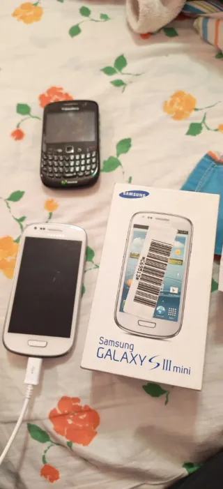 Samsung Galaxy S III mini
