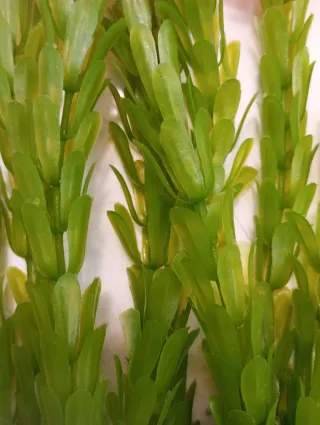 1 PLANTA ACUARIO ARTIFICIAL 33 CM