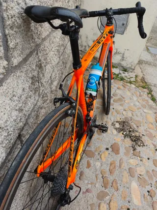 Bicicleta de carbono Berria Belador2.1 escuelas