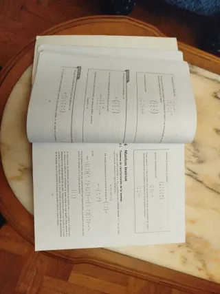 Curso de introducción al álgebra y al cálculo d...