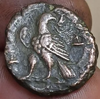 Galieno Tetradracma Egipto Alejandria MBC