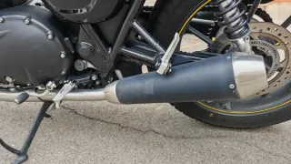 Triumph Street Cup 900 Amarilla y Gris