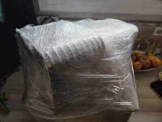 Nicotiana Tabacum Plantas Jóvenes