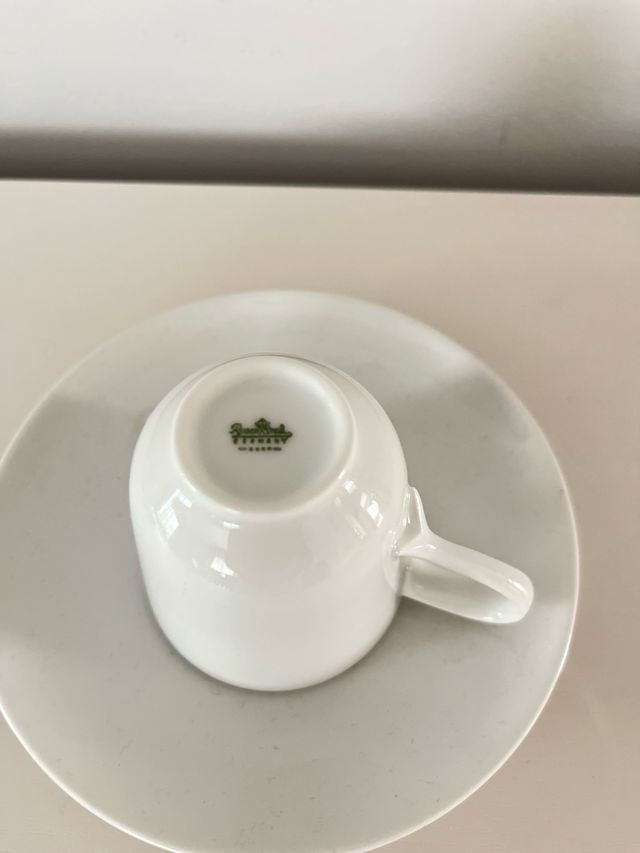 Taza y platillo de porcelana de Rosenthal