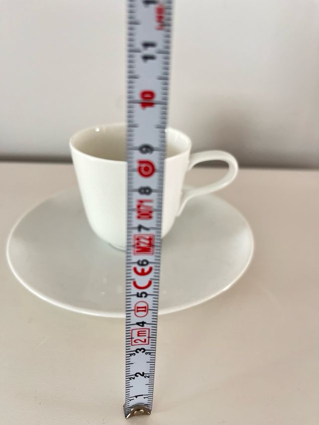 Taza y platillo de porcelana de Rosenthal