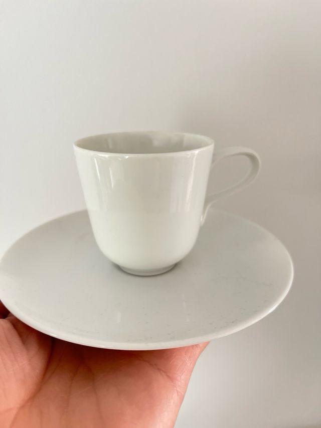 Taza y platillo de porcelana de Rosenthal