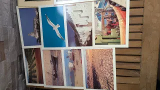 Colección Postales España Gual SA Barcelona