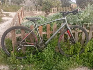 Bicicleta Specialized Gris