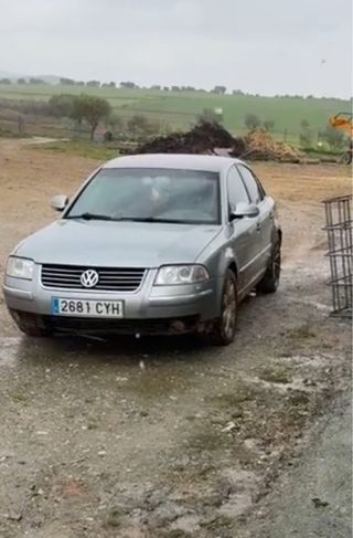 Despiece Volkswagen Passat