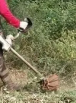 Limpieza de pastos y malas hierbas