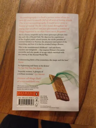 Boy Tales of Childhood