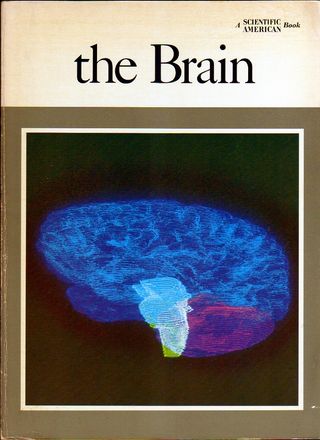 THE BRAIN - A "Scientific American" Book (1979)