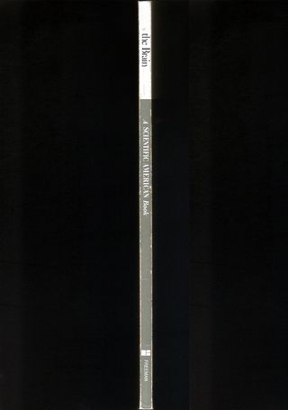 THE BRAIN - A "Scientific American" Book (1979)