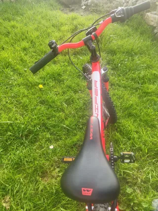 Bicicleta Infantil Roja 20 Pulgadas