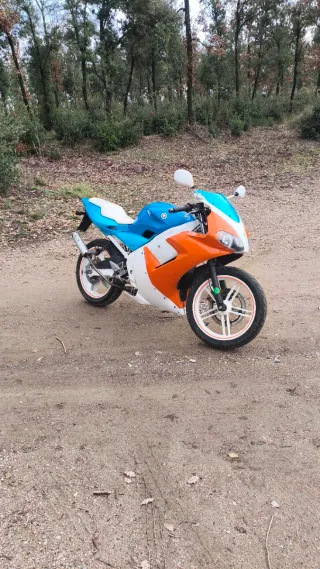 Yamaha TZR 50cc 2005 Preparada