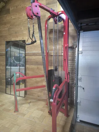 Máquina de poleas Life Fitness. Cable column