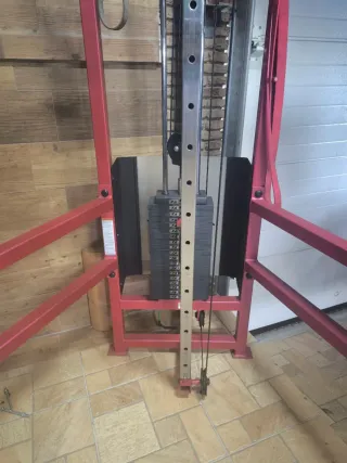 Máquina de poleas Life Fitness. Cable column