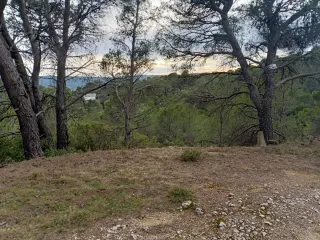 Parcela urbana 800m² en Urbanización Nueva Sierra