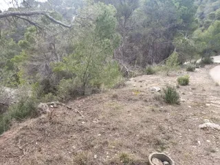 Parcela urbana 800m² en Urbanización Nueva Sierra