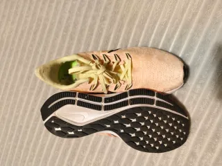 Nike Air Zoom Pegasus 37 Rise