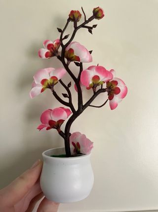 Pianta finta decorativa