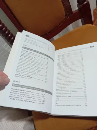 Libro curso de iniciación Internet